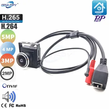 H. 265/H. 264 2MP 3MP 4MP 5MP Audio Video Kaamera MINI IP-Kaamera, Mikrofon P2P Võrgu 1.78 mm Fisheye Objektiiv lainurk Fisheye Objektiiv